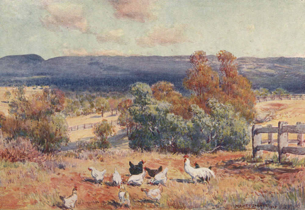 'The Kurrajong Heights, N.S.W' by Percy Spence. Australia 1910 old print